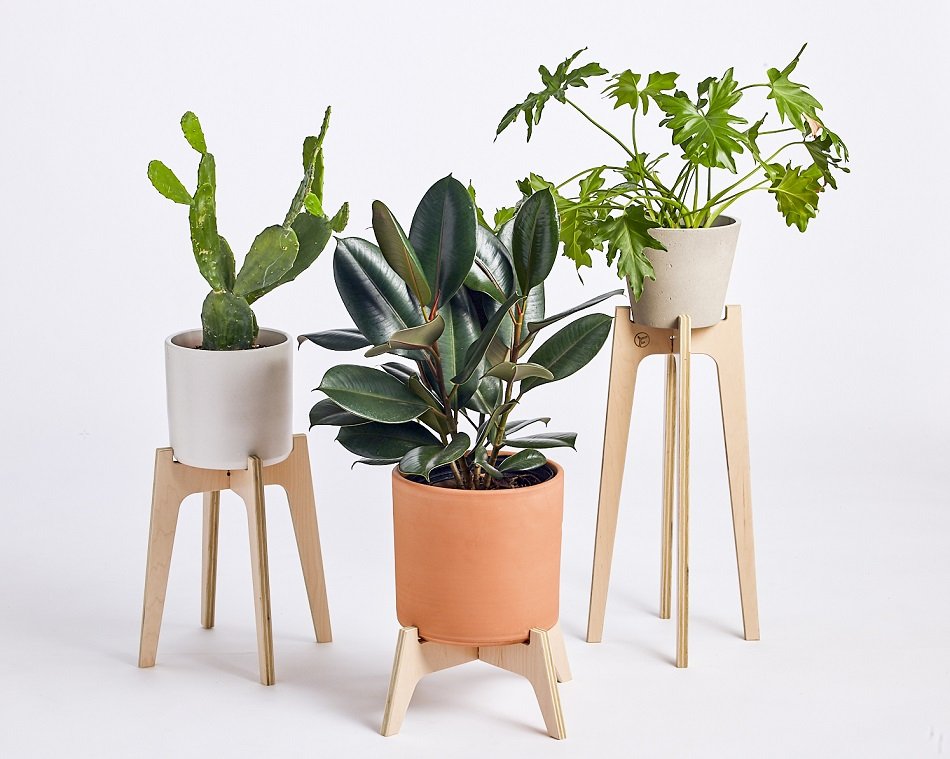 Featured image of post White Plant Stands Indoor Uk / Wall planter plant shelves modern plant stand indoor plants decor garden supplies corner plant mid century modern plant stand branch decor.
